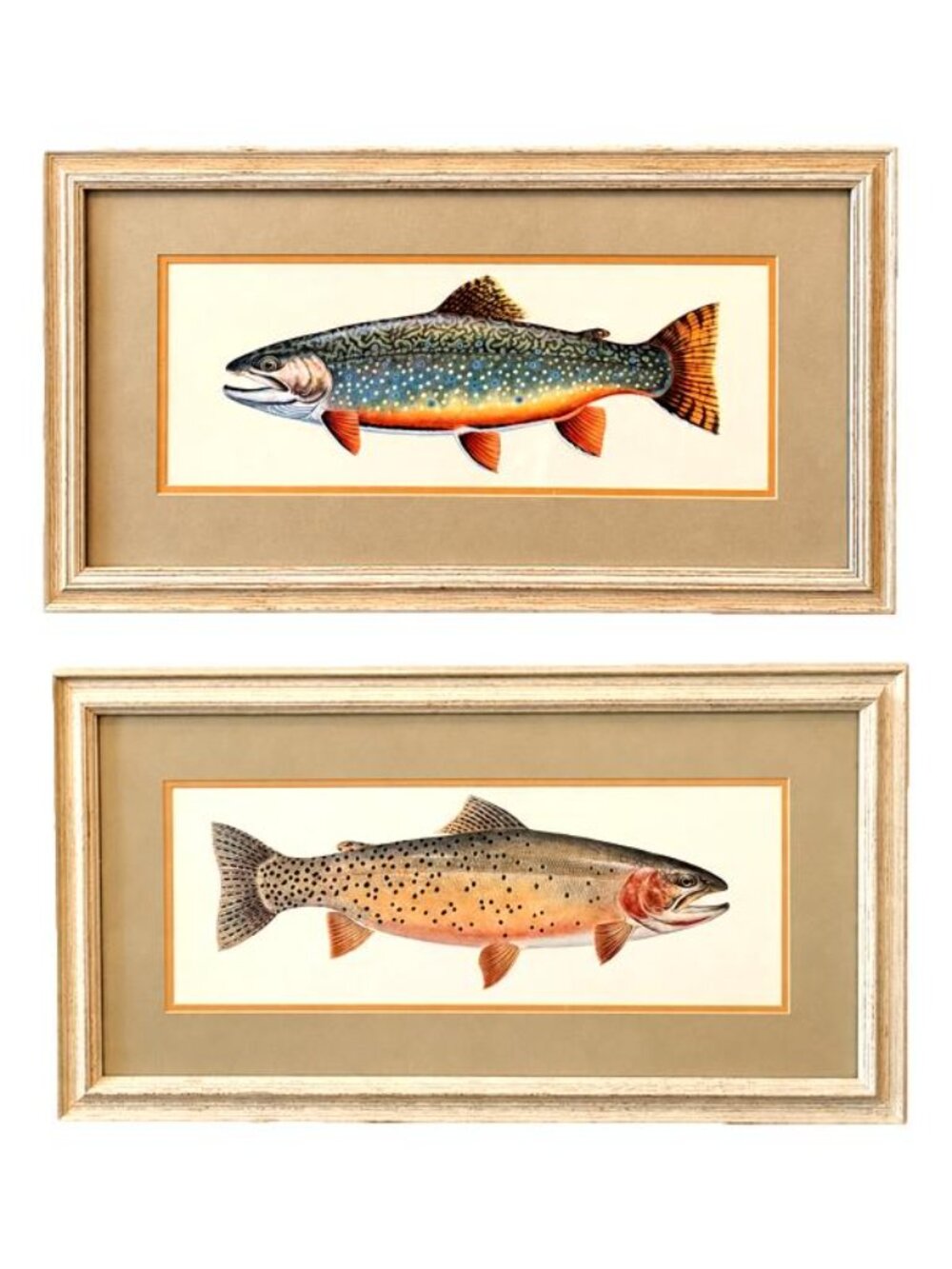 Vintage Framed Trout Fish Prints Set of 2 Brook Cutthroat Cabin Lodge Wall Art